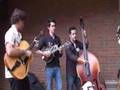 RobinElla and The FrankVignola Quintet - Surrender