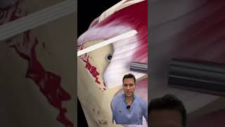 Progressive Spine & Orthopaedics