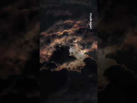 SELAHATTİN ÖZDEMİR Yaşarken ölenler