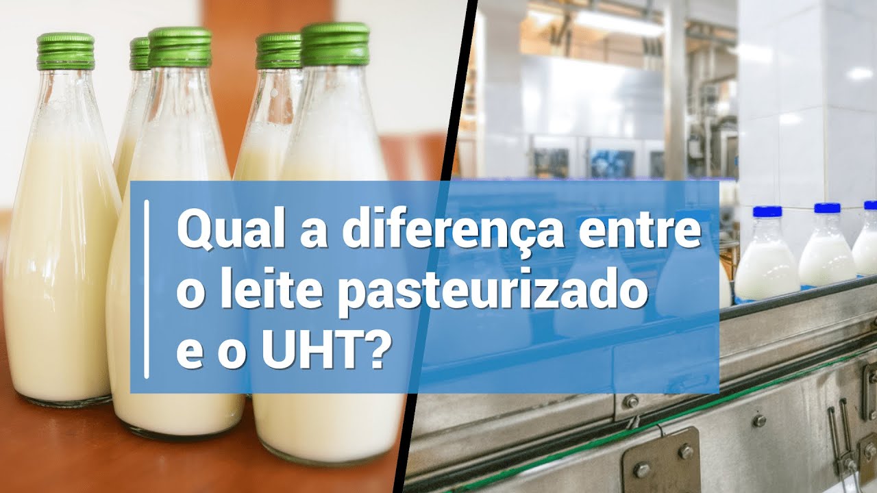 Qual a diferença entre LEITE PASTEURIZADO e UHT? | MilkPoint Insights