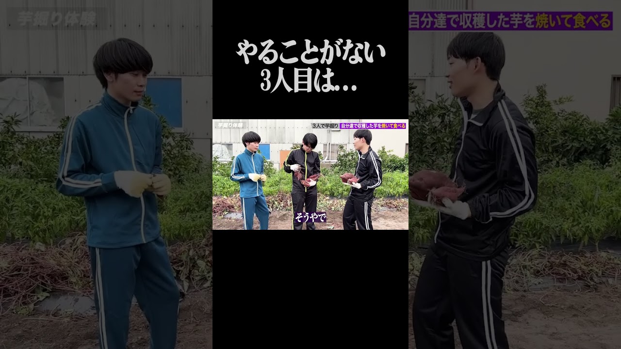 やることがない3人目は、、、　#shorts   #cacao  #芸人 #芋掘り