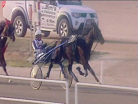 Trotto 01/03/2019 - 3ª corsa