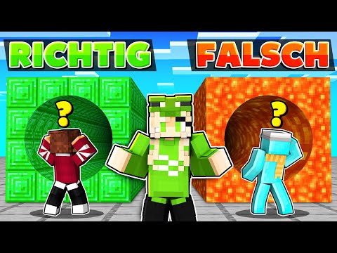 WAHR oder FALSCH QUIZ in MINECRAFT FREUNDE!