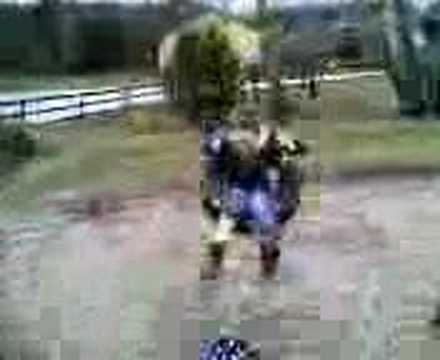 action in gånghester