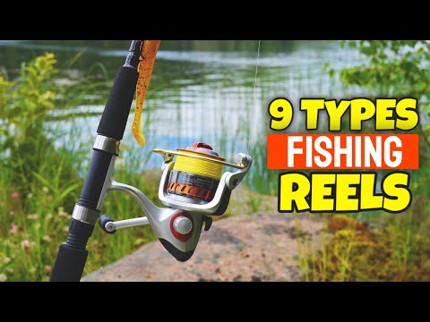 9 Types Of Fishing Reel | Different Types Of Fishing Reels Explained