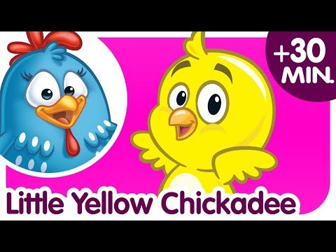 download lagu mp3 mp4 Yellow Chickadee, download lagu Yellow Chickadee gratis, unduh video klip Yellow Chickadee