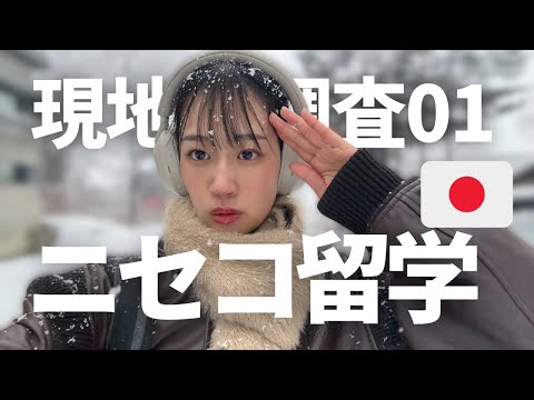 英語オタクMiyuさん ニセコ留学Vlog
