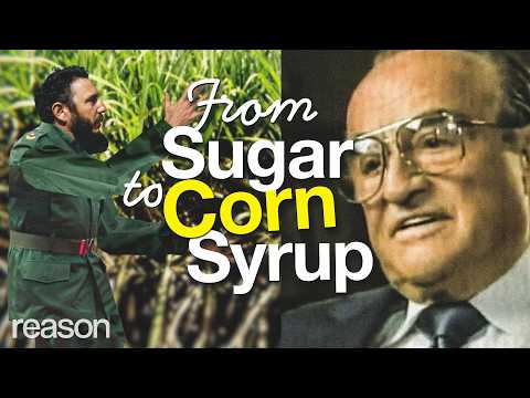 Real sugar used to be in everything. Then this happened.