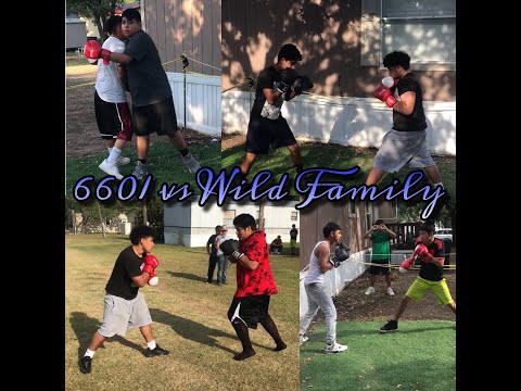6601 vs Wild Family Pt 1 🥊🥊🥊