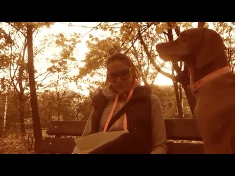 MASTROJANY ♥ Motýle ♀ OFFICIAL VIDEO ♂