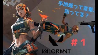 他力本願でも勝利は勝利だろうな。[VARORANT] 一回目