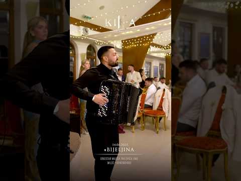 Kikine majstorije🔥 #milospavlovickika #orkestarskorpioni #music #shorts