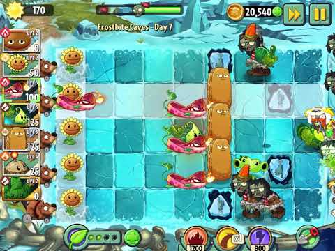 PvZ 2 Frostbite Caves Day 7: Turkey-pult with Arma-mint and Pyre Vine