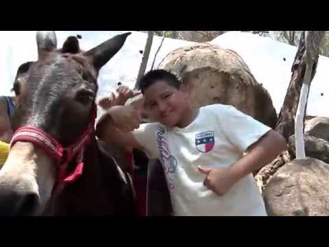 download lagu mp3 mp4 Burro De La Roqueta, download lagu Burro De La Roqueta gratis, unduh video klip Burro De La Roqueta
