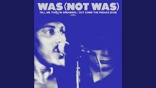 Music video thumbnail preview for Out Come the Freaks (Dub Version) by Was (Not Was)