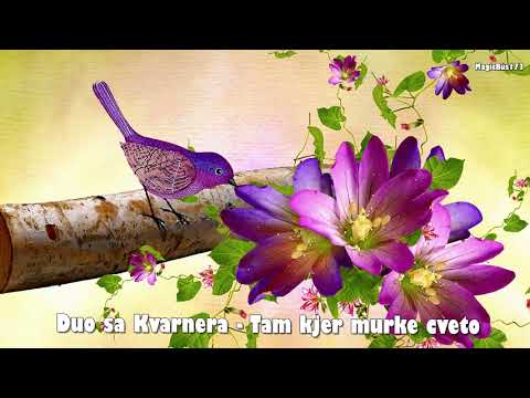 Duo sa Kvarnera - Tam kjer murke cveto
