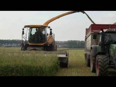 DOMAI MPD 611 NEW HOLLAND FR 9080 FRUMENTO (2)