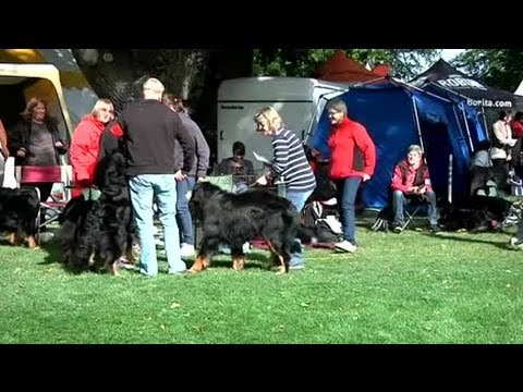 Tjuv stal från hundutställningen på Sofiero