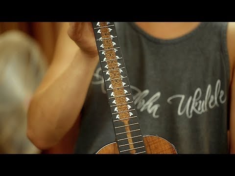 download lagu mp3 mp4 Koaloha Ukulele, download lagu Koaloha Ukulele gratis, unduh video klip Koaloha Ukulele