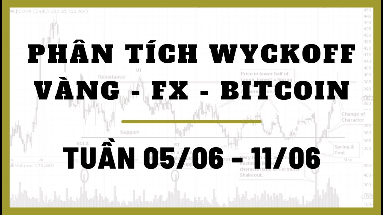 Phân Tích VÀNG-FOREX-BITCOIN Tuần 05-11/06 Theo Phương Pháp WYCKOFF