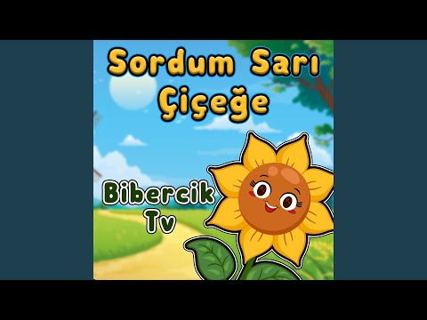 Sordum Sarı Çiçeğe