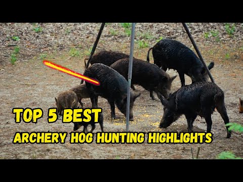 Top 5 Best Archery Hog Hunting Highlights! - (4k Ultra Slow Motion)
