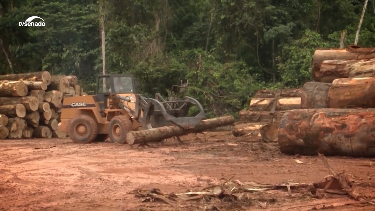 Ministra Sonia Guajajara recebe o Prêmio Campeões da Terra