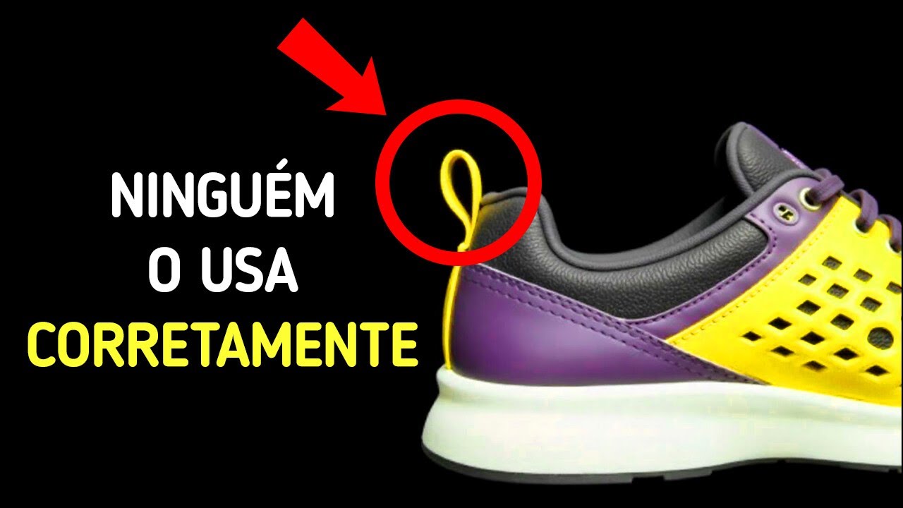 Você não vai acreditar que aprendeu esses fatos tão tarde na vida