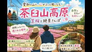 【愛知】快適…茶臼山高原の空気感が最高でした｜芝桜と温泉旅　#茶臼山高原 #芝桜 #愛知観光 #愛知旅行 #奥三河 #東海おでかけ #温泉 #夫婦旅#vlog #国内旅行