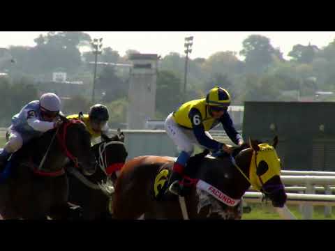 220409 c01 VOY CONTIGO