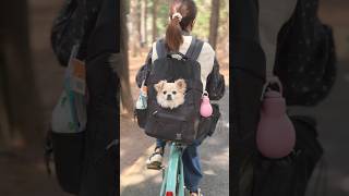 【桜満開】代々木公園で花見がすごかった🌸🌸 #youtubeshorts #funny #千本桜