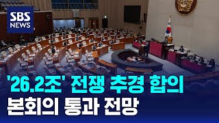 '26.2조' 추경 합의..본회의 통과 전망 / SBS