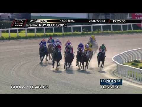 230723 c02 EL PROFESOR