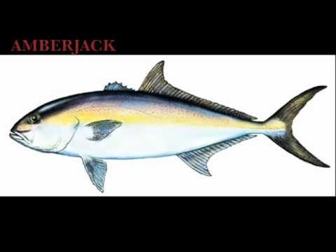 Promessa de Pescador