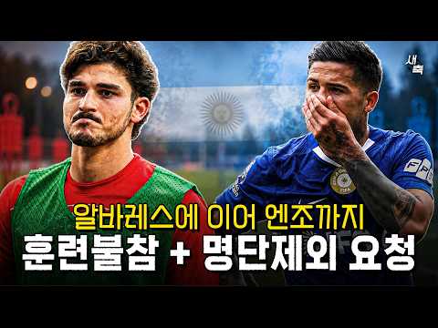 문제의 아르헨티나 선수들 알바레스 훈련불참 + 엔조, 맨시티 이적 위해서 경기불참 요청! 이적시장 막판 땡깡 피우기