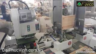 MÁY ĐÁNH MỘNG DƯƠNG CNC 2 ĐẦU TỰ ĐỘNG WOODMASTER làm việc bền bỉ