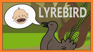 Download lagu Lyrebird Song -  Funny Copying Sounds Song for Kids │ Smiley Rhymes mp3