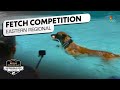 Incredible Dog Challenge Fetch It Eastern Regional NBC Sports