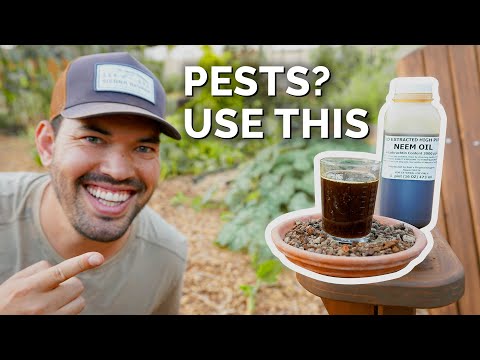 YouTube video about: Does neem oil repel rabbits?