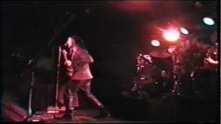 Everyday Formula - Jawbone - Regurgitator cover