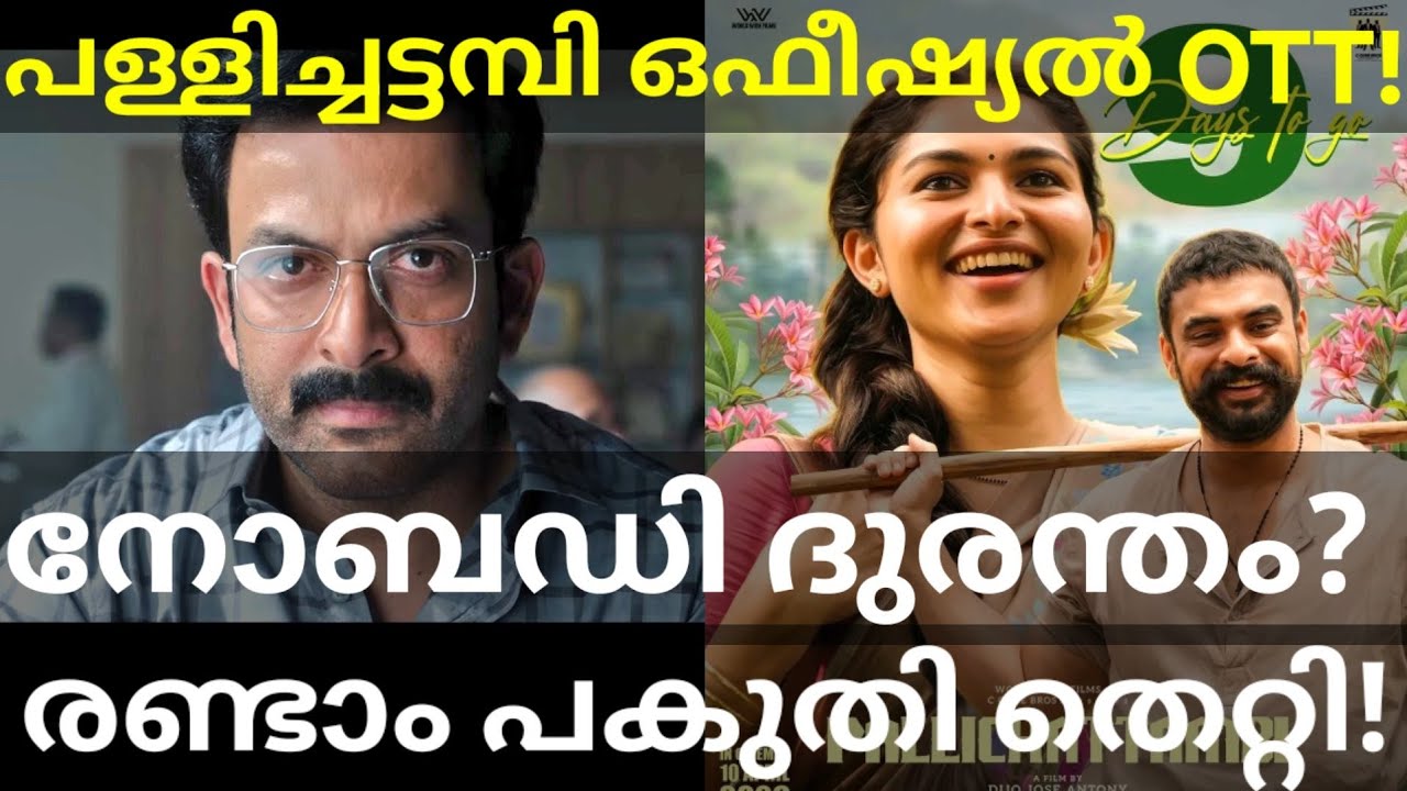 INobody Movie Theatre Disaster |Pallichattambi OTT Release Confirmed #Prithviraj #Tovino #INobody 
