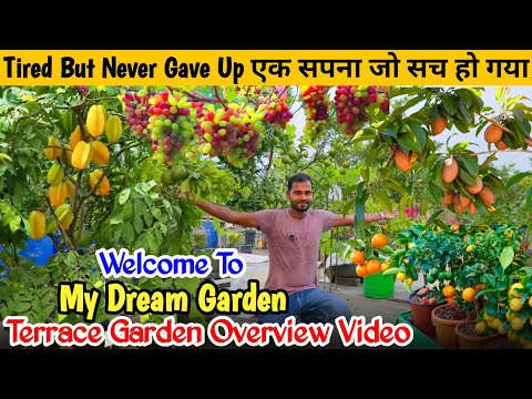 My Beautiful Garden Full Tour | MRK Green Garden Overview 2025 