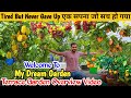 My Beautiful Garden Full Tour MRK Green Garden Overview 2025