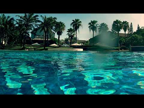 POOLSIDE / Ryoma Maeda (from Tropicalize)