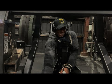 FALL CUT :DAY 9 BACK