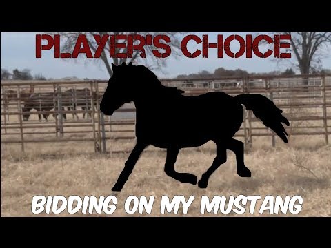 Bidding On My Mustang //Player's Choice Mustang Makeover 2020