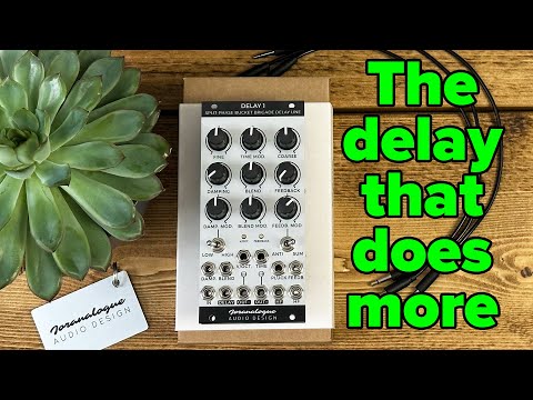 Joranalogue Delay 1 | From chorus to kick drums to Karplus-Strong