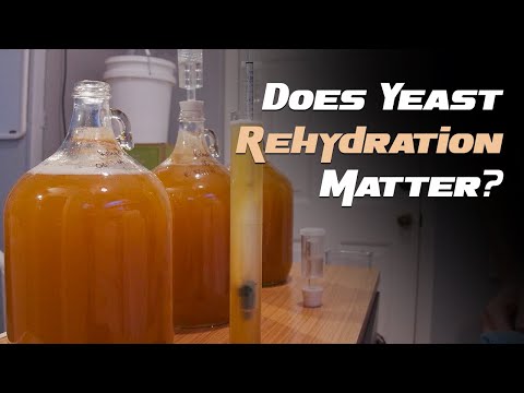 Does Yeast Rehydration Matter? - A Reflective Test