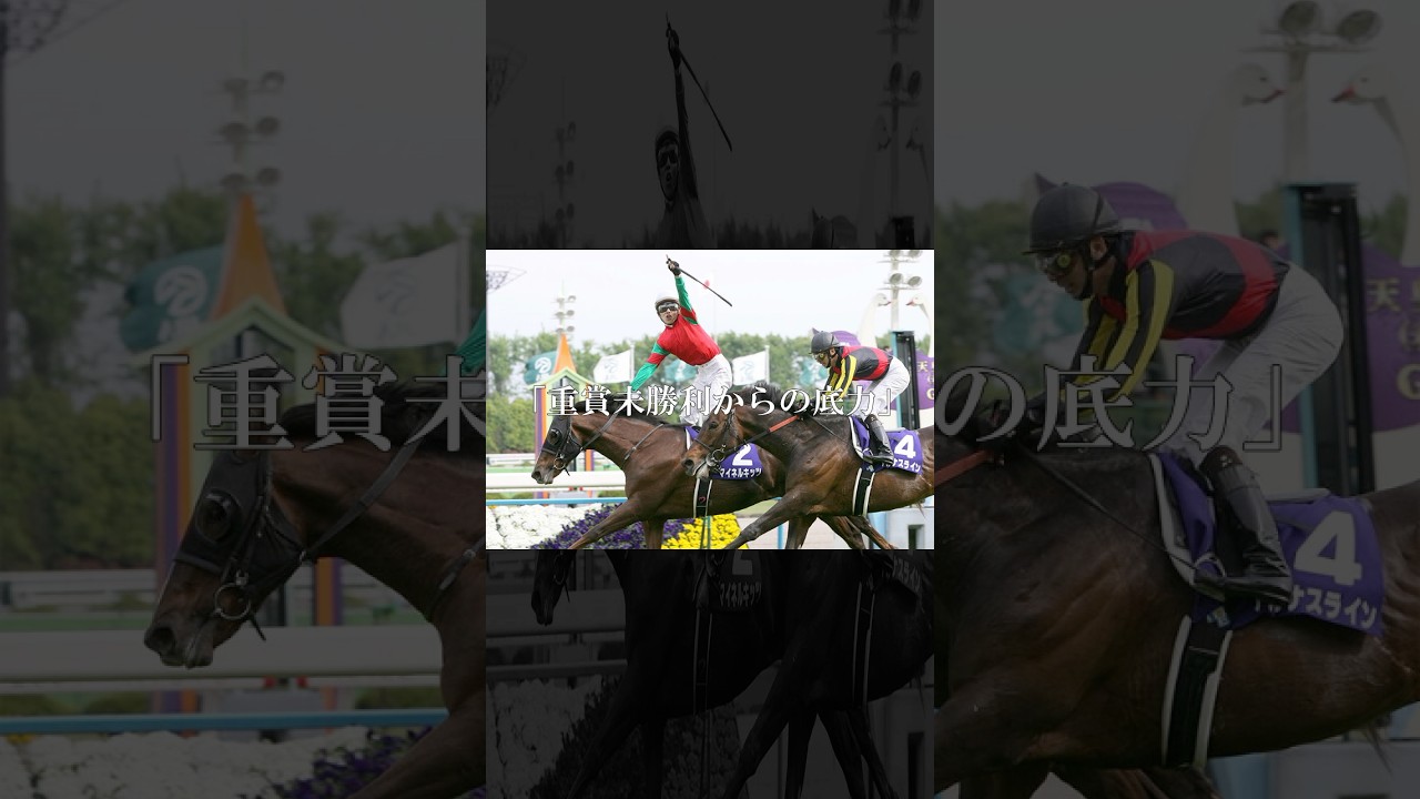 逆襲の盾獲りへ。重賞未勝利馬が魅せる。#マイネルキッツ #競馬 #shorts