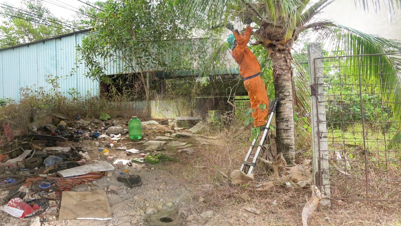 What We Found Inside Changed Everything